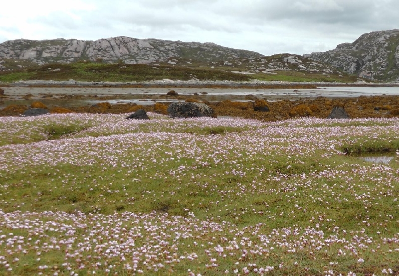 Touring Scotland by car United Kingdom Vacation Picture