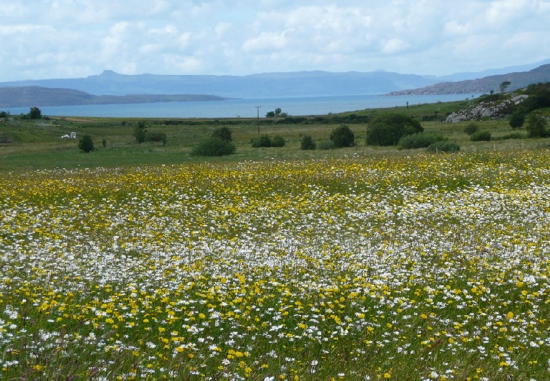 Touring Scotland by car United Kingdom Diary Pictures