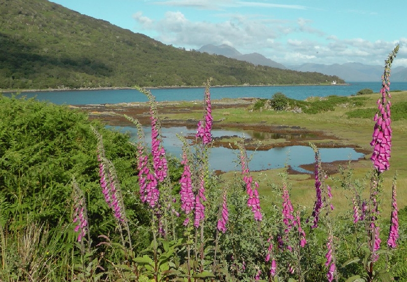 Touring Scotland by car United Kingdom Travel Picture