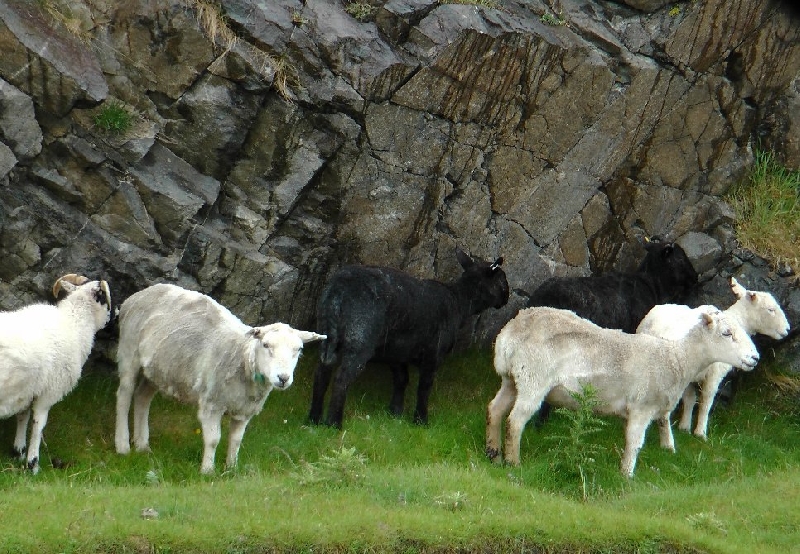 Touring Scotland by car United Kingdom Photos