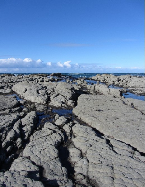 Touring from Kaikoura in Camper New Zealand Diary Experience