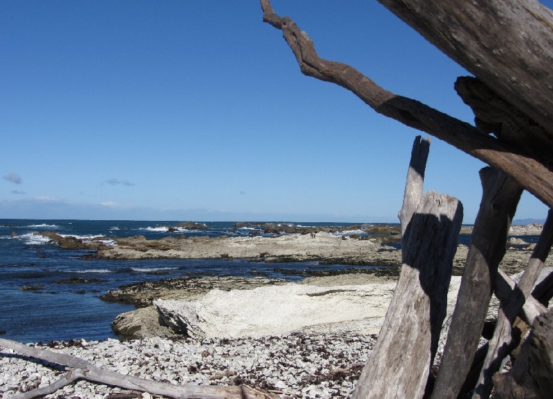 Photo Touring from Kaikoura in Camper 