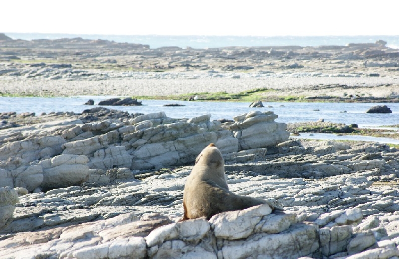 Kaikoura New Zealand 