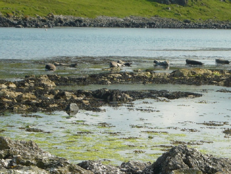 Rathlin Island Ireland 