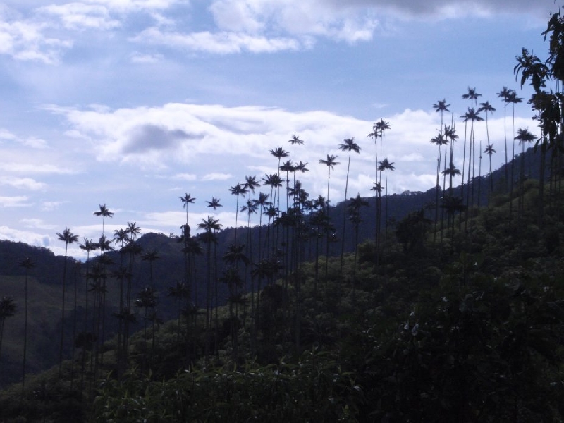 Salento Colombia 