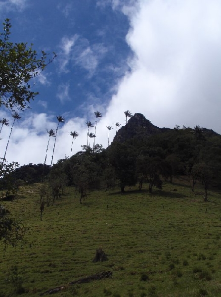 Salento Colombia 