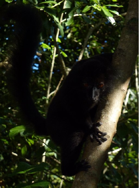 Photo Holiday in Madagascar 