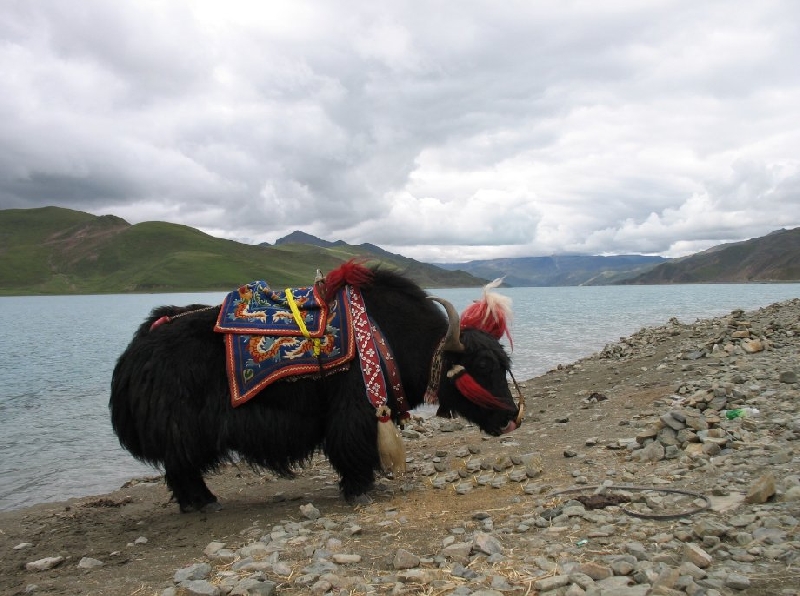 Tibet China 