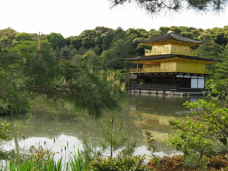 Trip from Tokyo to Kyoto Japan Blog Review