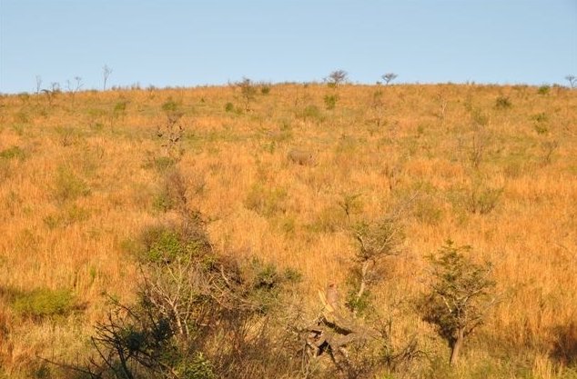 KwaZulu-Natal South Africa 