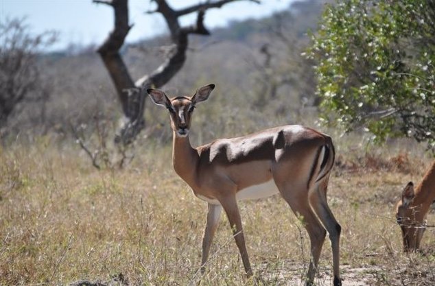 KwaZulu-Natal South Africa 