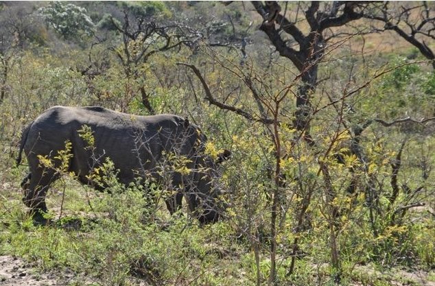 KwaZulu-Natal South Africa 