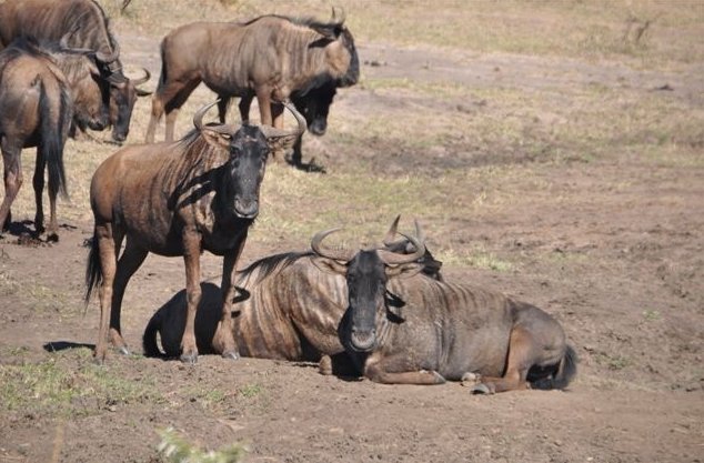 KwaZulu-Natal South Africa 