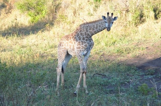 KwaZulu-Natal South Africa 