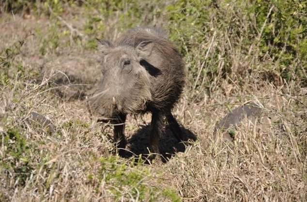 KwaZulu-Natal South Africa 