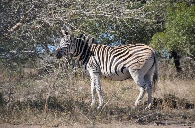 KwaZulu-Natal South Africa 