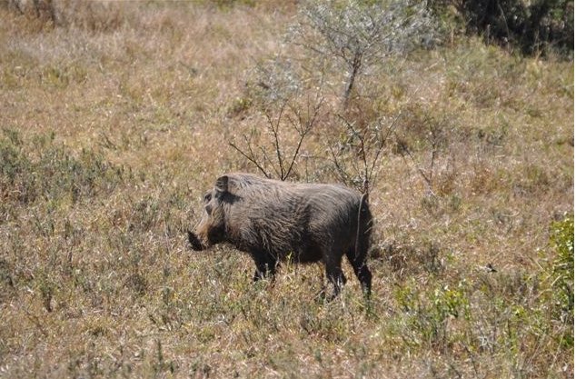 KwaZulu-Natal South Africa 