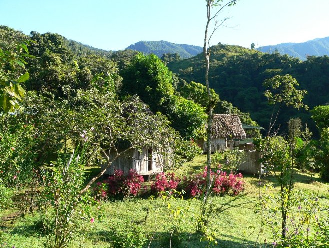 Costa Rica Trekking Monteverde Travel Photos
