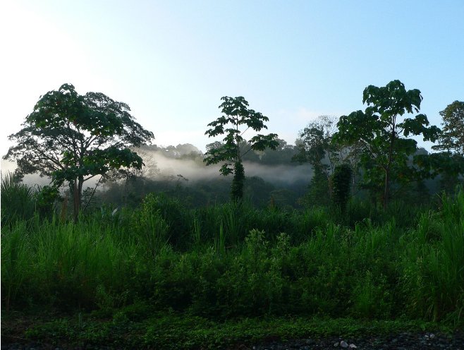 Costa Rica Trekking Monteverde Photo Gallery