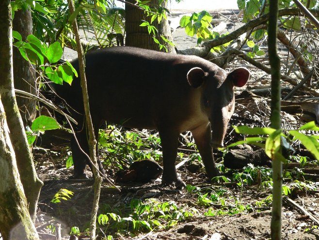 Photo Costa Rica Trekking 