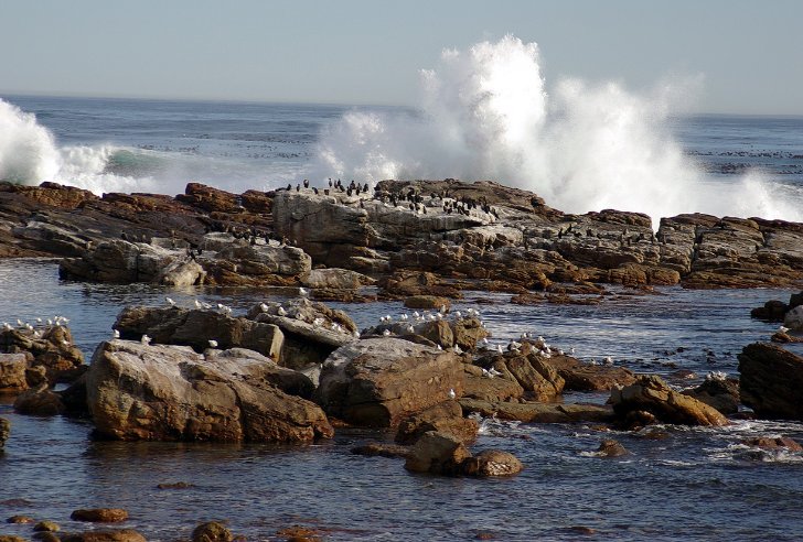 Cape Town Coastline South Africa Travel Pictures