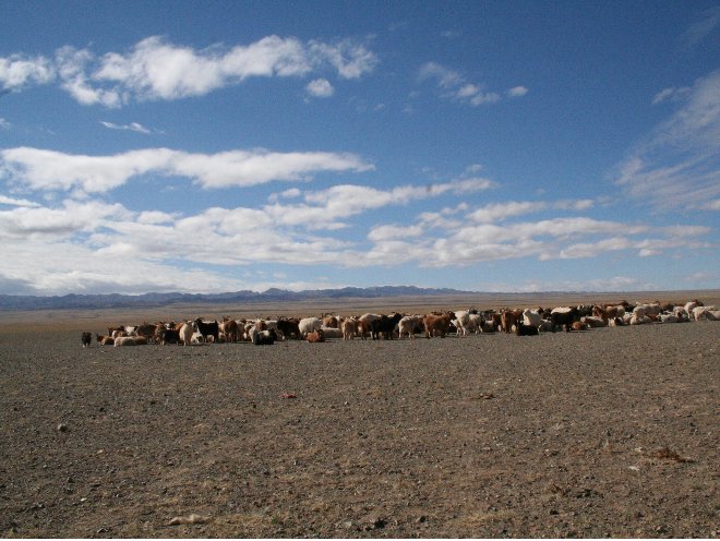 Ulaanbaatar Mongolia 