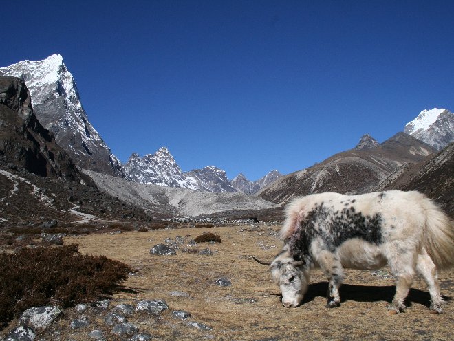 Photo Trans Siberia Express Train Lhasa 