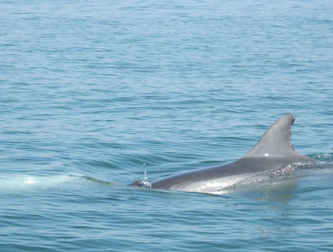 Paracas Peru 