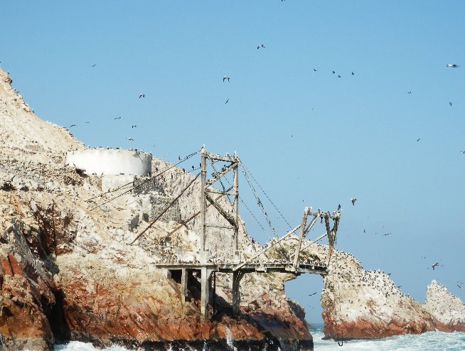 Paracas Peru 