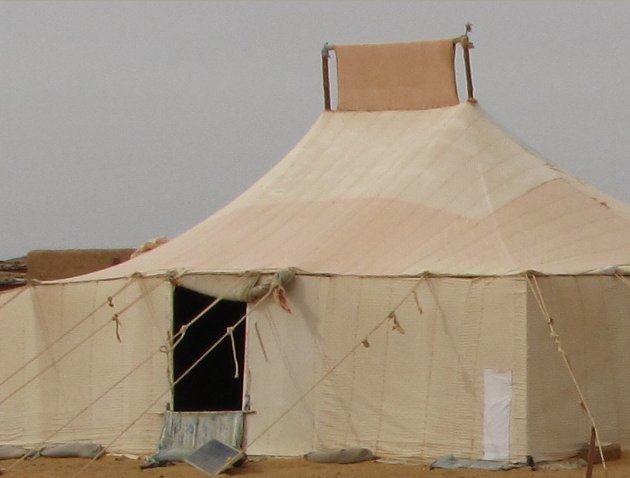   Dakhla Western Sahara Diary Sharing