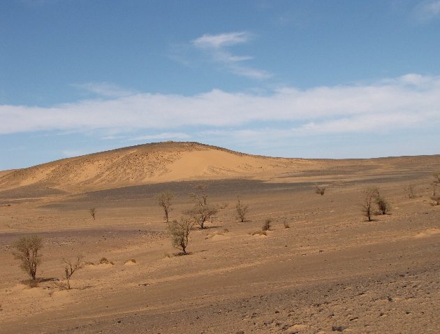 Dakhla Western Sahara 