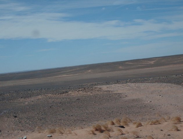 Dakhla Western Sahara 