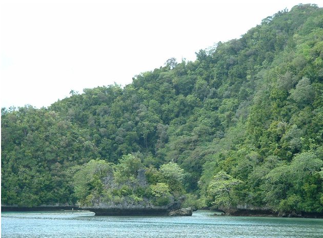 Cruise to Malakal Island Palau Album Photos