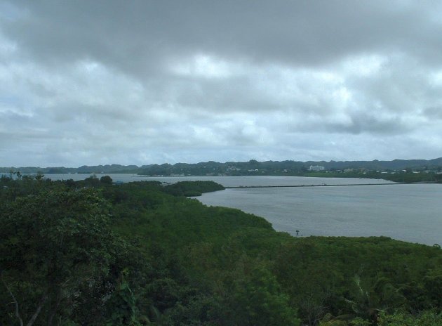 Photo Cruise to Malakal Island Palau 