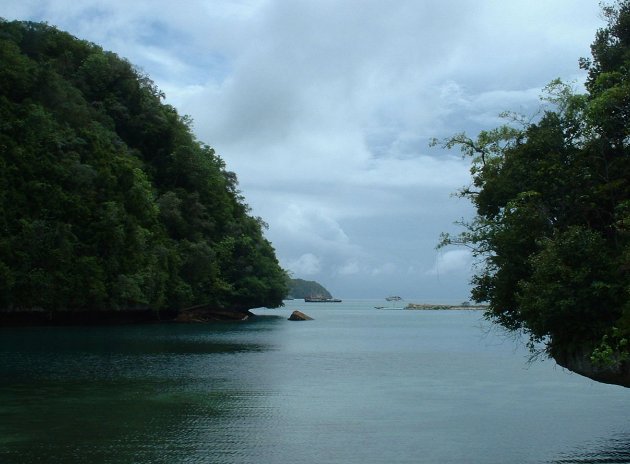 Photo Cruise to Malakal Island Palau 