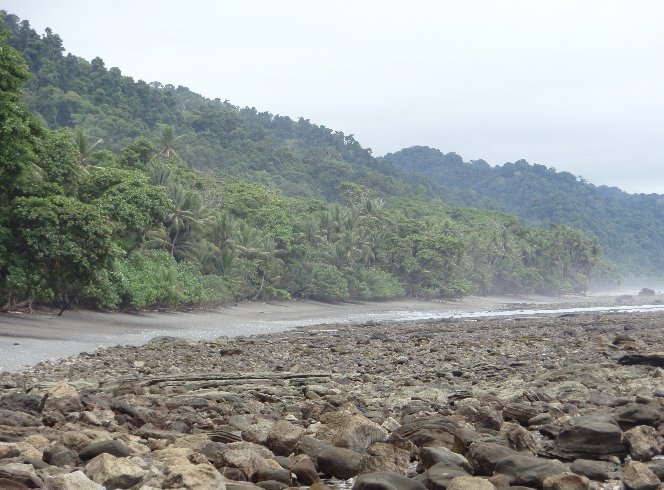   Puerto Jimenez Costa Rica Pictures