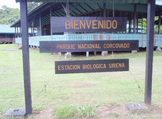 Puerto Jiminez Hostel Costa Rica Puerto Jimenez Photos