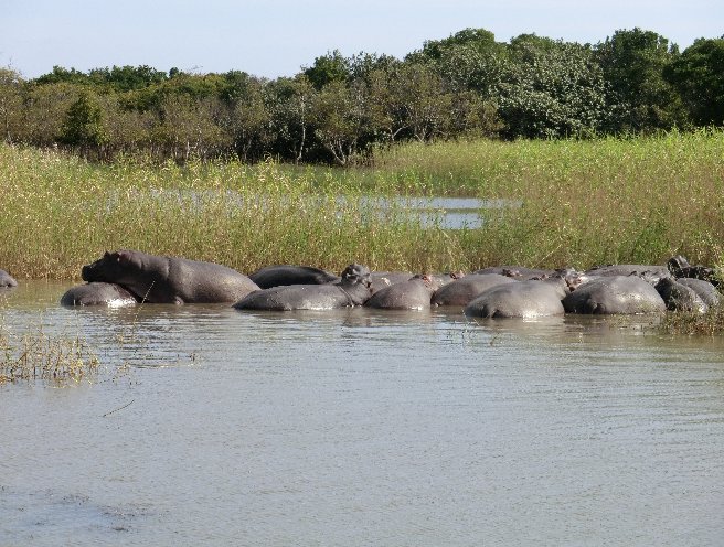 Photo Kruger National Park 