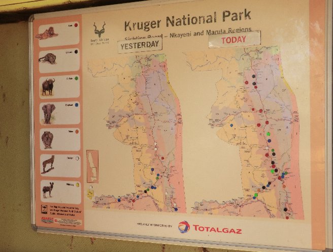 Kruger National Park South Africa Travel Blog