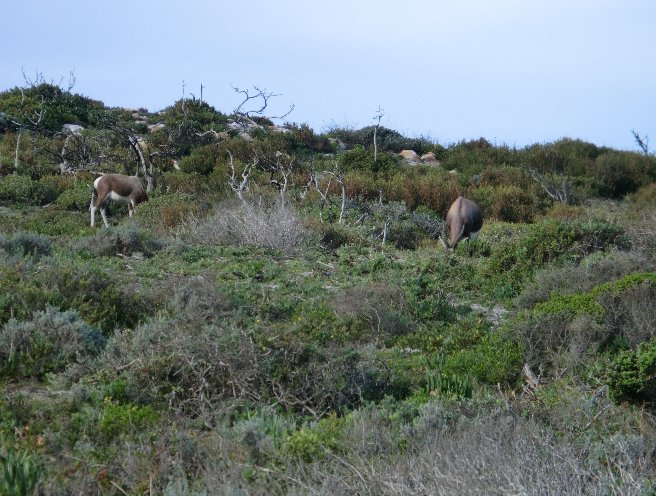 Cape Town South Africa 