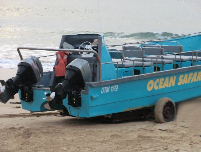 Plettenberg Bay Ocean Safari South Africa Trip