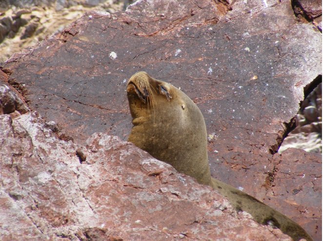 Lima Peru  