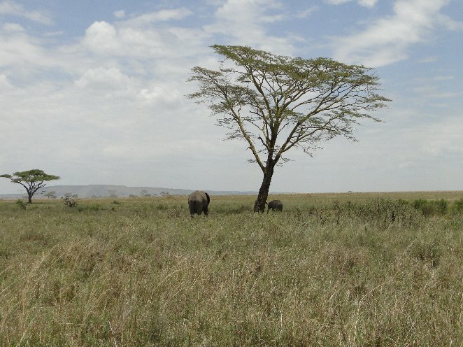 Arusha Tanzania  