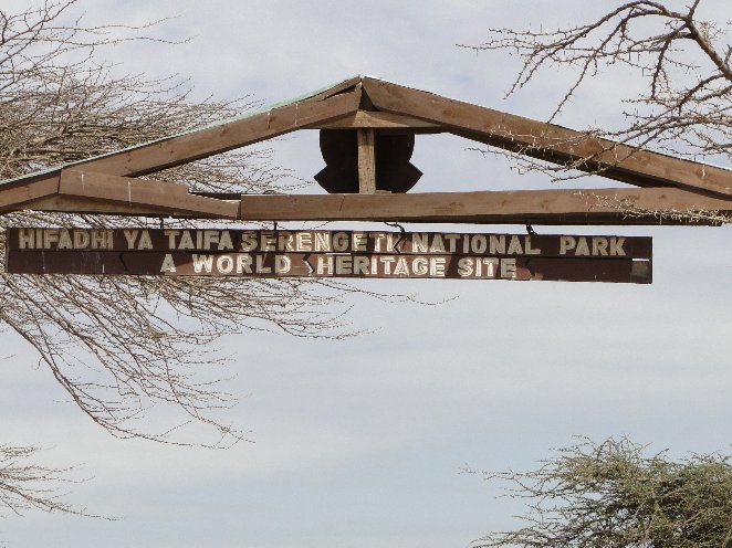 From Arusha to the Kuro Airstrip Tanzania Diary Photos