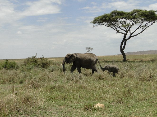 From Arusha to the Kuro Airstrip Tanzania Travel Adventure