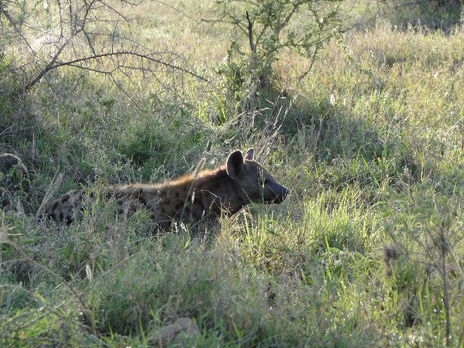 From Arusha to the Kuro Airstrip Tanzania Review Picture