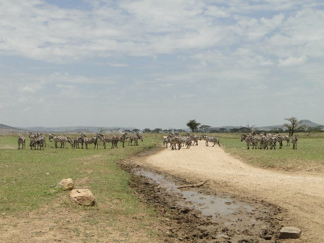 From Arusha to the Kuro Airstrip Tanzania Travel Information