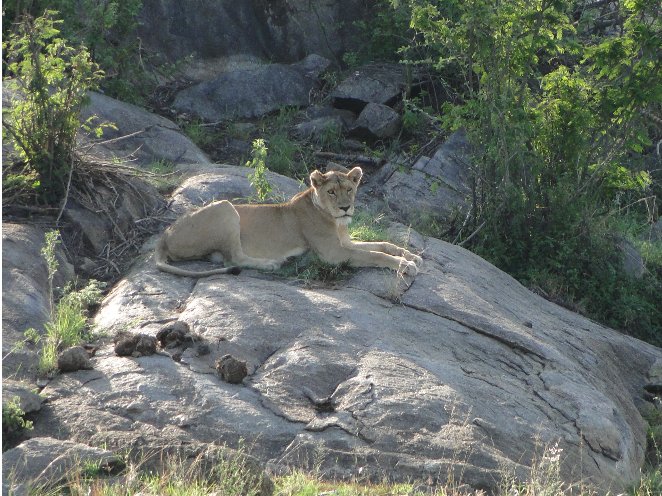 From Arusha to the Kuro Airstrip Tanzania Picture gallery