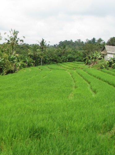 Kuta Indonesia 