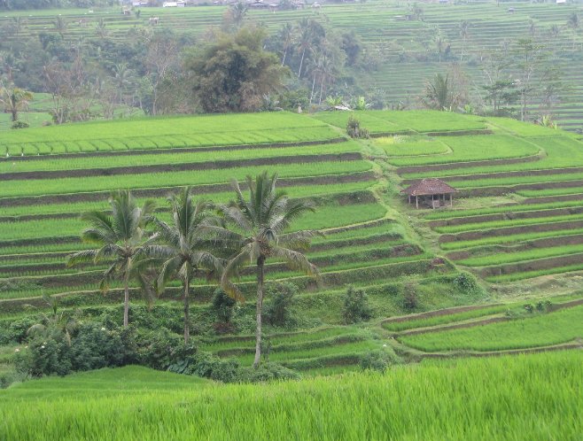 Kuta Indonesia 